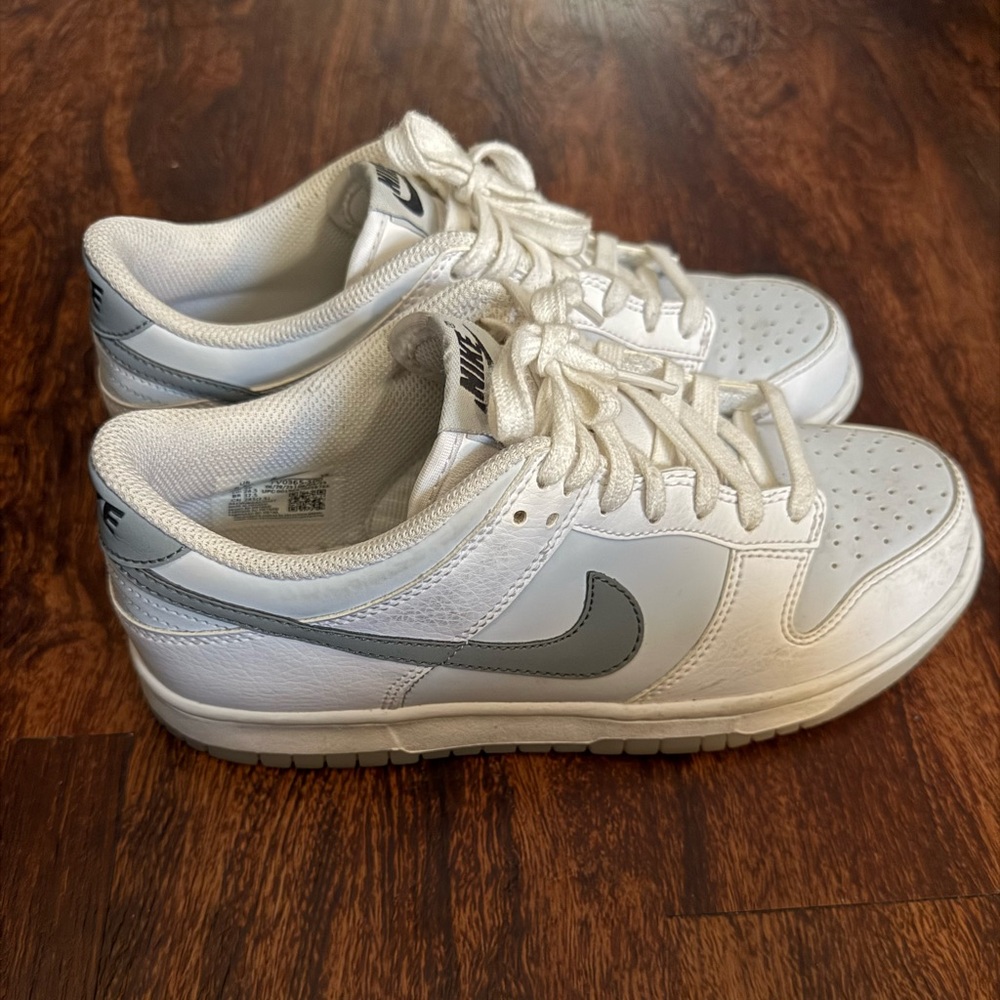 Nike Dunk Low bug Kids size 6.5 Y